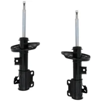 Pair Bare Strut Set of 2 Driver and Passenger Side Left Right for Cadillac CTS