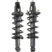 Pair Fully Loaded Strut Set of 2 Rear Driver and Passenger Side Left Right