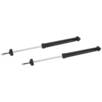 Set of 2 Shock Rear Driver and Passenger Side Left Right for Honda Fit Pair