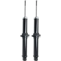 Strut Assemblies For 2005-2009 Cadillac STS Front Driver and Passenger Side RWD